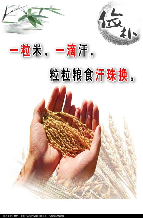 买个假北领地驾照